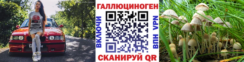 Псилоцибиновые грибы Psilocybe  KRAKEN   Североморск 
