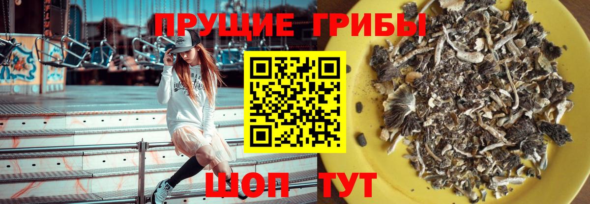 Североморск  Псилоцибиновые грибы GOLDEN TEACHER  Вход с VPN 